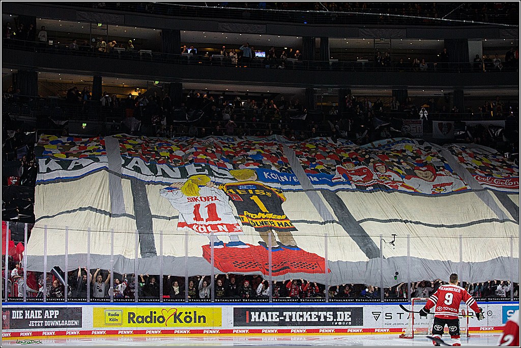 PENNY DEL; Koelner Haie- Duesseldorfer EG; Koeln, 16.12.2022